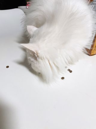 뿅아리님이 올린 리뷰 사진 4