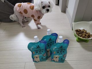 댑빵이님이 올린 리뷰 사진 4