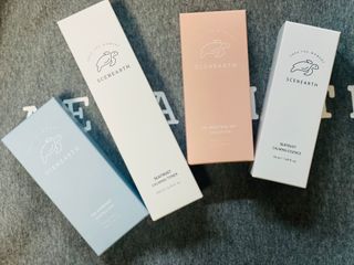 [라이브캠페인] 씨널스 에센스 선/톤업 선, 토너/에센스 세트 — 5점을 준 리뷰어가 2022년 2월 올린 사용 사진