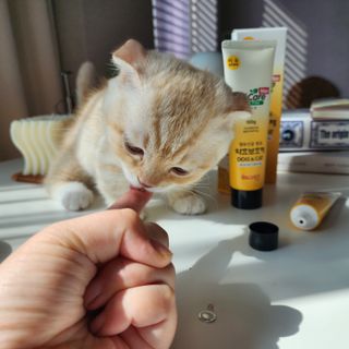 쭌뭉님이 올린 리뷰 사진 1