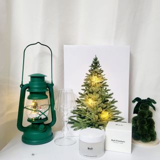 비엔디 2NOW[한글]BnD 바디 주름개선 엉덩이크림 — 5점을 준 리뷰어가 2024년 12월 올린 사용 사진