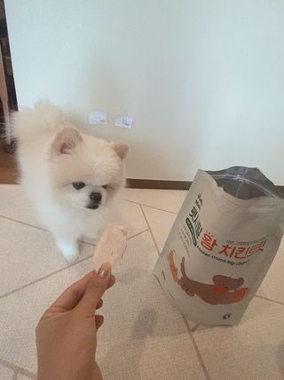 [펫시밀] 원물그대로 영양듬뿍 동결건조 왕북어트릿300g,왕치킨트릿400g,열빙어트릿300g 대용량 간식 — 5점을 준 리뷰어가 2023년 5월 올린 사용 사진