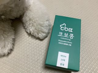 코보콩 에어슈즈 강아지 일회용 신발 소용량 패키지 20매 초경량  미끄럼방지 실내외 겸용 — 4점을 준 리뷰어가 2022년 2월 올린 사용 사진