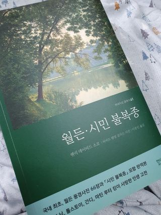 madsanta님이 올린 리뷰 사진 1