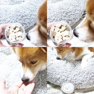림림님이 올린 리뷰 사진 4