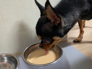 깡지님이 올린 리뷰 사진 3