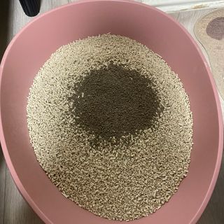 진아님이 올린 리뷰 사진 3