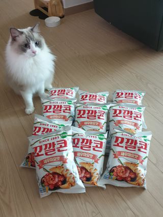 로크찡님이 올린 리뷰 사진 1