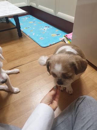 USANA전경미님이 올린 리뷰 사진 4