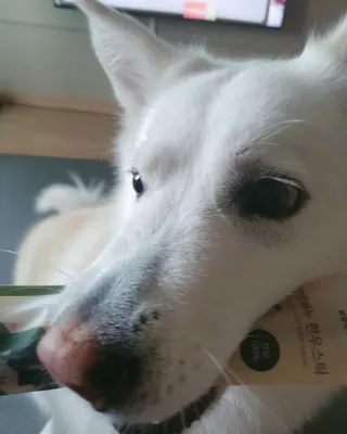 딸랑구둘🥰님이 올린 리뷰 사진 3