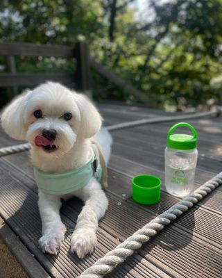 달콩리치님이 올린 리뷰 사진 2