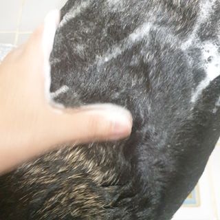 beaglelove님이 올린 리뷰 사진 3