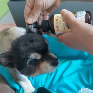 복도리님이 올린 리뷰 사진 3