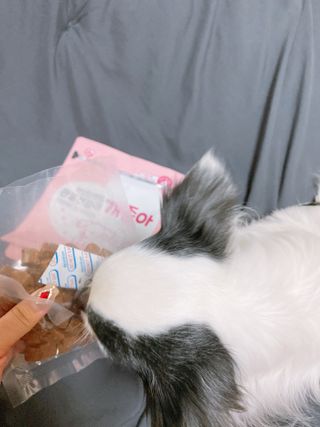 서시애님이 올린 리뷰 사진 2