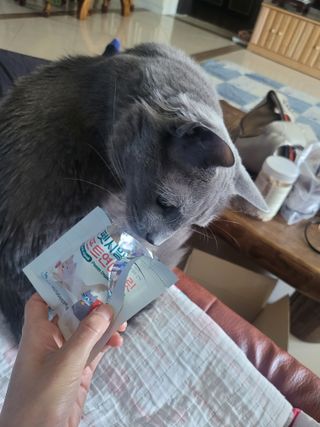 [펫시밀] 원물그대로 영양듬뿍 진공동결건조 북어트릿75g,치킨트릿100g,연어트릿75g 강아지 고양이 간식 — 5점을 준 리뷰어가 2023년 5월 올린 사용 사진