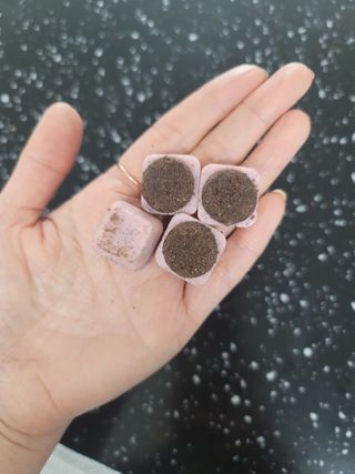 뽀기님이 올린 리뷰 사진 1