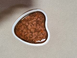 비타크래프트 조에시 하트캔 85g 강아지 습식캔 10캔 — 5점을 준 리뷰어가 2021년 7월 올린 사용 사진