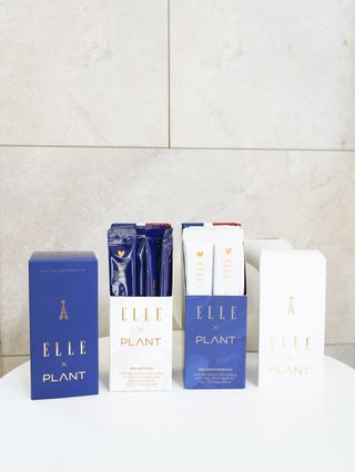 프리 [PLANT] 플랜트 콜라겐 엘르 에디션 2종 — 5점을 준 리뷰어가 2024년 3월 올린 사용 사진