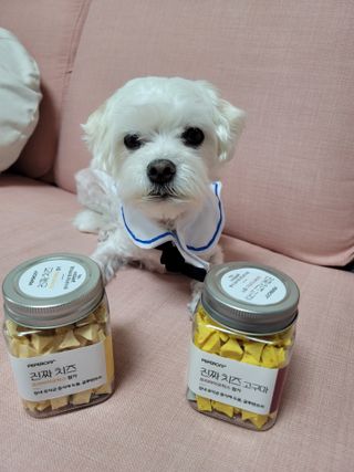 페페로니 진짜 프리바이오틱스 치즈+치즈고구마 180g+180g — 5점을 준 리뷰어가 2021년 7월 올린 사용 사진