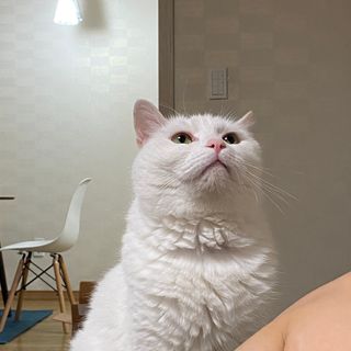 ㄹ진님이 올린 리뷰 사진 3