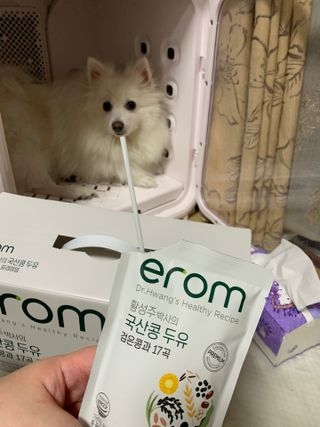 이롬 황성주 박사의 국산콩 두유 검은콩과 17곡 프리미엄 — 5점을 준 리뷰어가 2021년 5월 올린 사용 사진