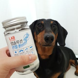 히이잇님이 올린 리뷰 사진 2