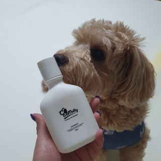보습 촉촉 린스가 필요 없는 코코몰리 올인원 자연 유래 샴푸 130ml — 5점을 준 리뷰어가 2021년 1월 올린 사용 사진