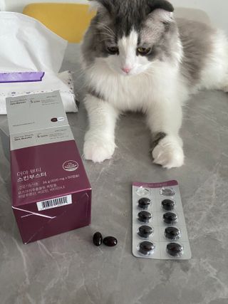 서예슬님이 올린 리뷰 사진 3