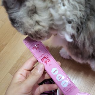 페페로니 잘 먹는 캣츄 - 알래스카 연어 24개입 — 5점을 준 리뷰어가 2021년 9월 올린 사용 사진