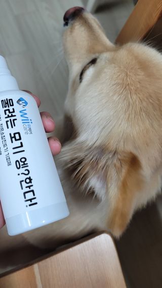 🎀딸 ♥️랑 🔆구🍭님이 올린 리뷰 사진 3