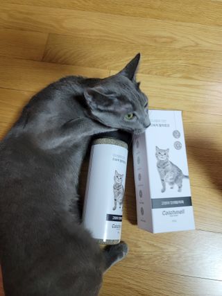 서빵맘님이 올린 리뷰 사진 3