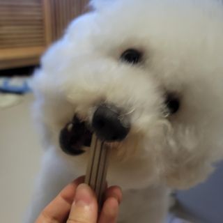 ❤꼬네우니🧡님이 올린 리뷰 사진 1