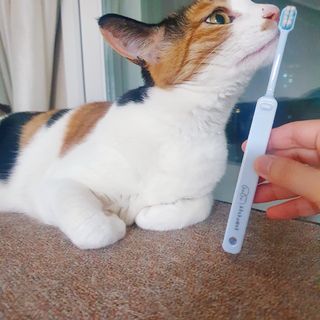 JENNY님이 올린 리뷰 사진 2