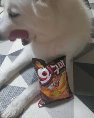 딸랑구둘🥰님이 올린 리뷰 사진 2