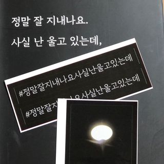 찌니님이 올린 리뷰 사진 4