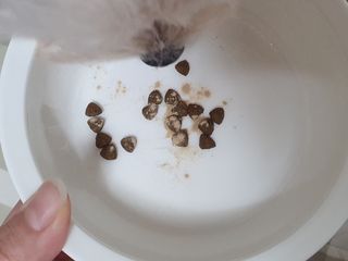보람강님이 올린 리뷰 사진 4