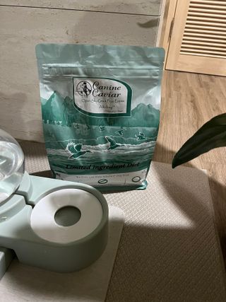 캐닌캐비어 알카라인 홀리스틱 그레이프리 앙뜨레 ALS_4종 오픈스카이, 와일드오션, 프리스피릿, 스페셜니즈 — 5점을 준 리뷰어가 2023년 3월 올린 사용 사진