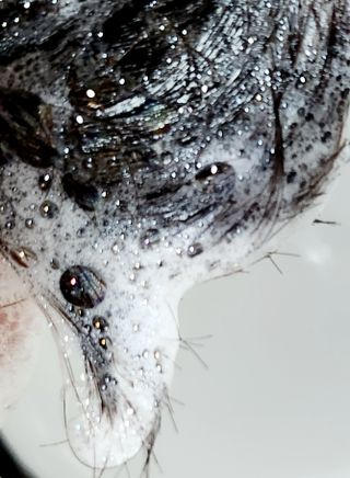 구름님이 올린 리뷰 사진 2