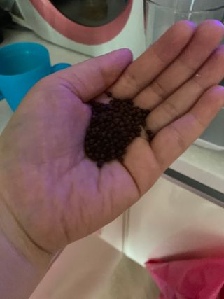 인아지아맘님이 올린 리뷰 사진 3