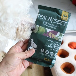 [푸디웜] 라포그  리얼인섹트 웨이트밸런스 저알러지 강아지 사료  1.2KG — 5점을 준 리뷰어가 2022년 7월 올린 사용 사진