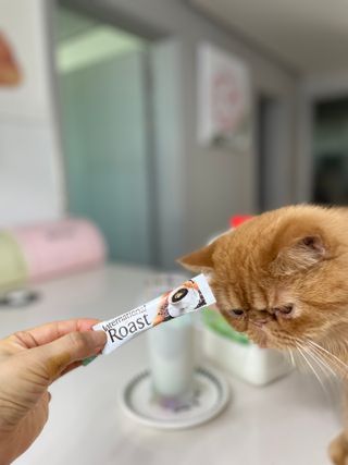인터내셔널로스트 [호주네슬레] 인터내셔널 로스트 65개입 호주마약커피 50T+15T — 5점을 준 리뷰어가 2021년 8월 올린 사용 사진