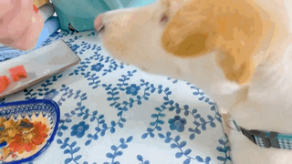 쥬롱이님이 올린 리뷰 사진 4