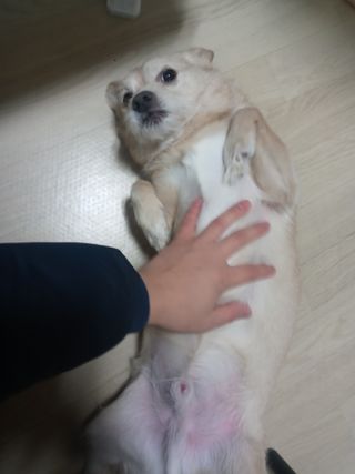유나대디 임정환님이 올린 리뷰 사진 2