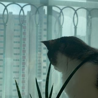 다니당근님이 올린 리뷰 사진 3