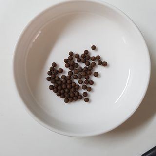 김도영님이 올린 리뷰 사진 2