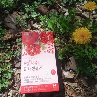 동그리동동님이 올린 리뷰 사진 2