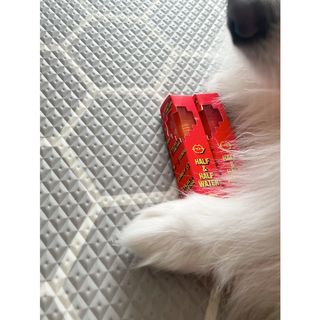 [블랙루즈]하프앤하프틴트 10종 中 택1+랜덤1 — 4점을 준 리뷰어가 2021년 2월 올린 사용 사진