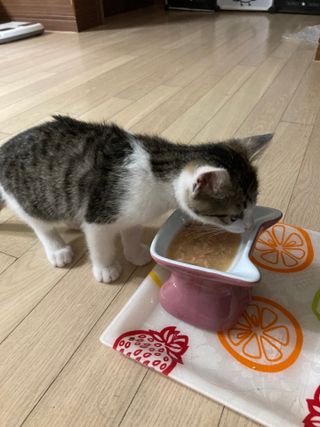 미혜님이 올린 리뷰 사진 2