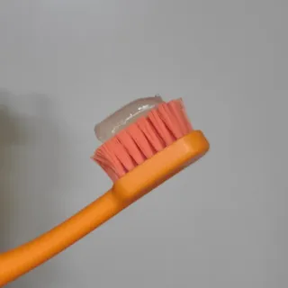 노이님이 올린 리뷰 사진 2
