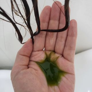 백설공주님이 올린 리뷰 사진 3